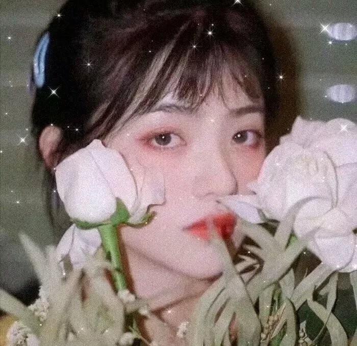 青春热潮粤语