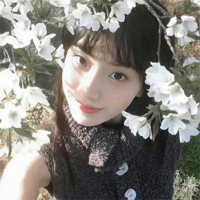 菜鸟